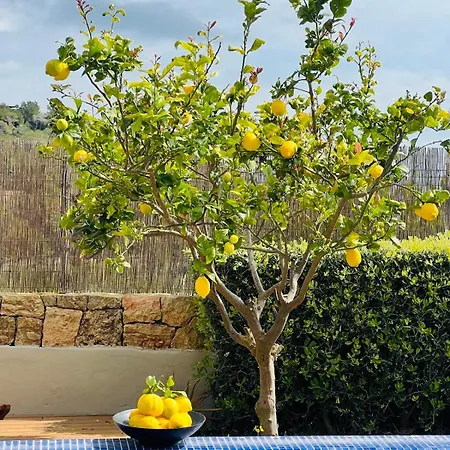 Lifestyle Cap Martinet Ibiza Villa Talamanca